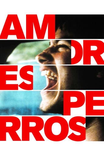 #2 Amores Perros (2000) — Top 10 Mexican Films of All Time