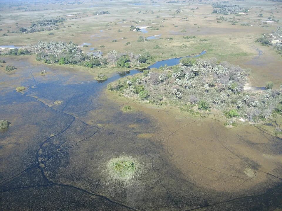 #3 Okavango Delta — Top 10 Best Safari Destinations in Africa