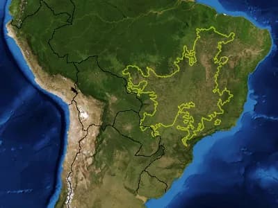 #4 Cerrado, Brazil — Top 10 Worst Deforestation Hotspots