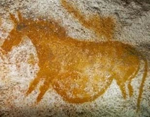 #6 Holocene Extinction (ongoing) — Top 10 Worst Extinction Events in History