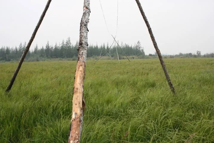 #5 Pleistocene Park, Siberia, Russia — Top 10 Most Polarizing Rewilding Projects (2026): Wolves, Bison & Jaguars