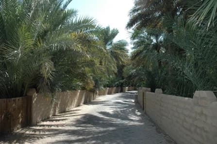#10 Hili Archaeological Park (Al Ain) — Top 10 Historic Sites in the UAE in 2026