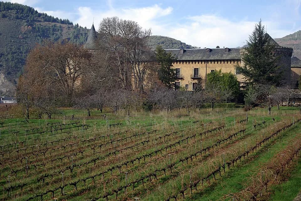 #10 Bierzo — Top 10 Spanish Wines and Wine Regions
