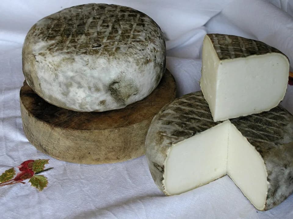 #8 Garrotxa — Top 10 Spanish Cheeses