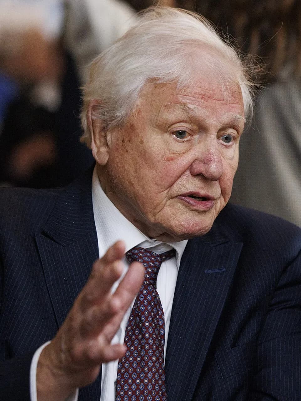 #7 david attenborough — Top 10 Google Trends — Daily (GB) — March 20, 2026