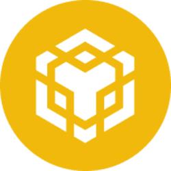 BNB (BNB)