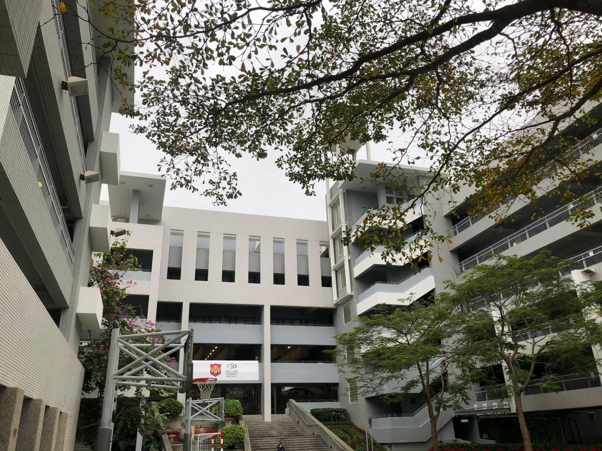 #8 Diocesan Boys' School Primary Division — Top 15 Best Public Primary Schools in Hong Kong 2026