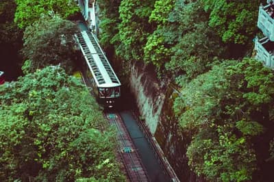 #6 Peak Tram and Sky Terrace 428 — Top 10 Family Activities in Hong Kong 2026