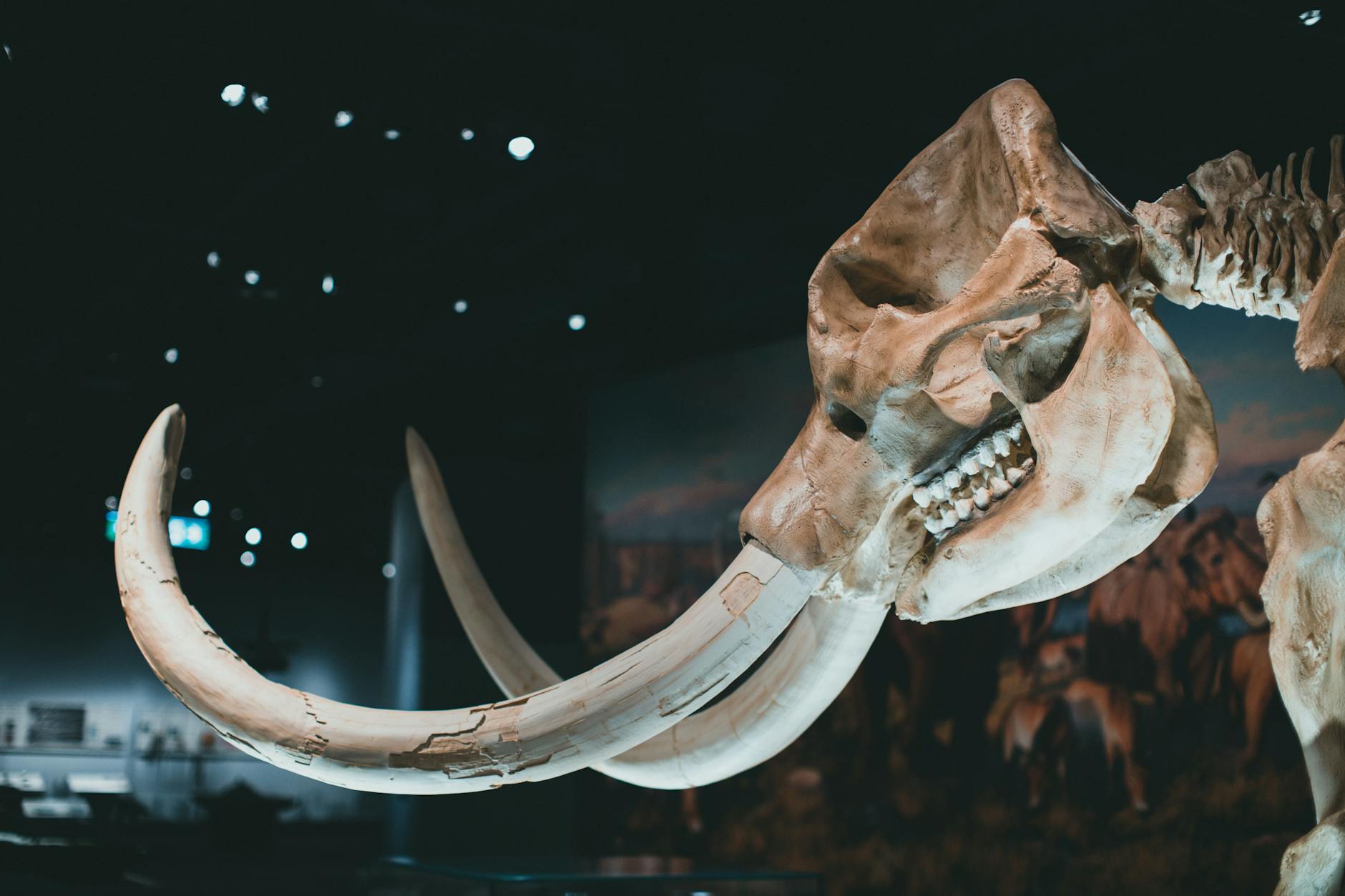 Top 10 Worst Extinction Events in History