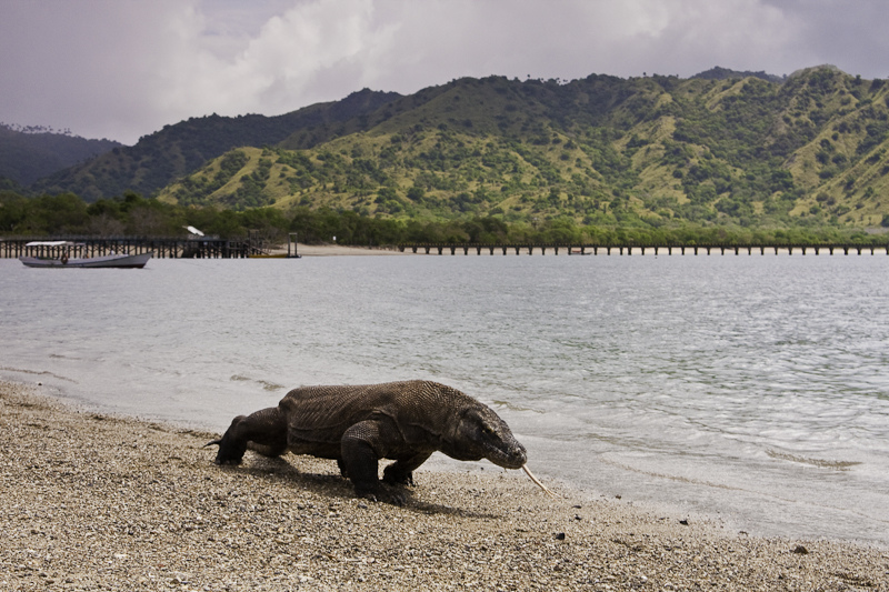 Top 10 Indonesian National Parks in 2026
