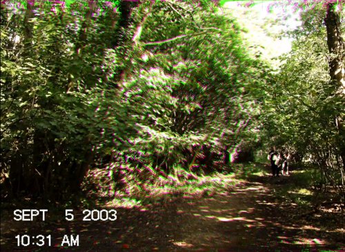 Top 10 Found Footage Horror Films That Feel Too Real