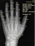 Top 10 Ways AI Is Revolutionizing Healthcare
