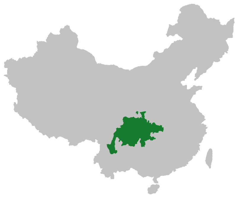 Top 12 Things to Do in Chengdu in 2026