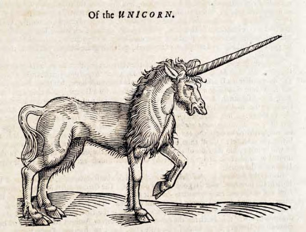 Top 10 Startups That Reached $1 Billion in Record Time — The Fastest Unicorns Ever