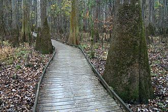 Top 10 Most Underrated National Parks in the USA
