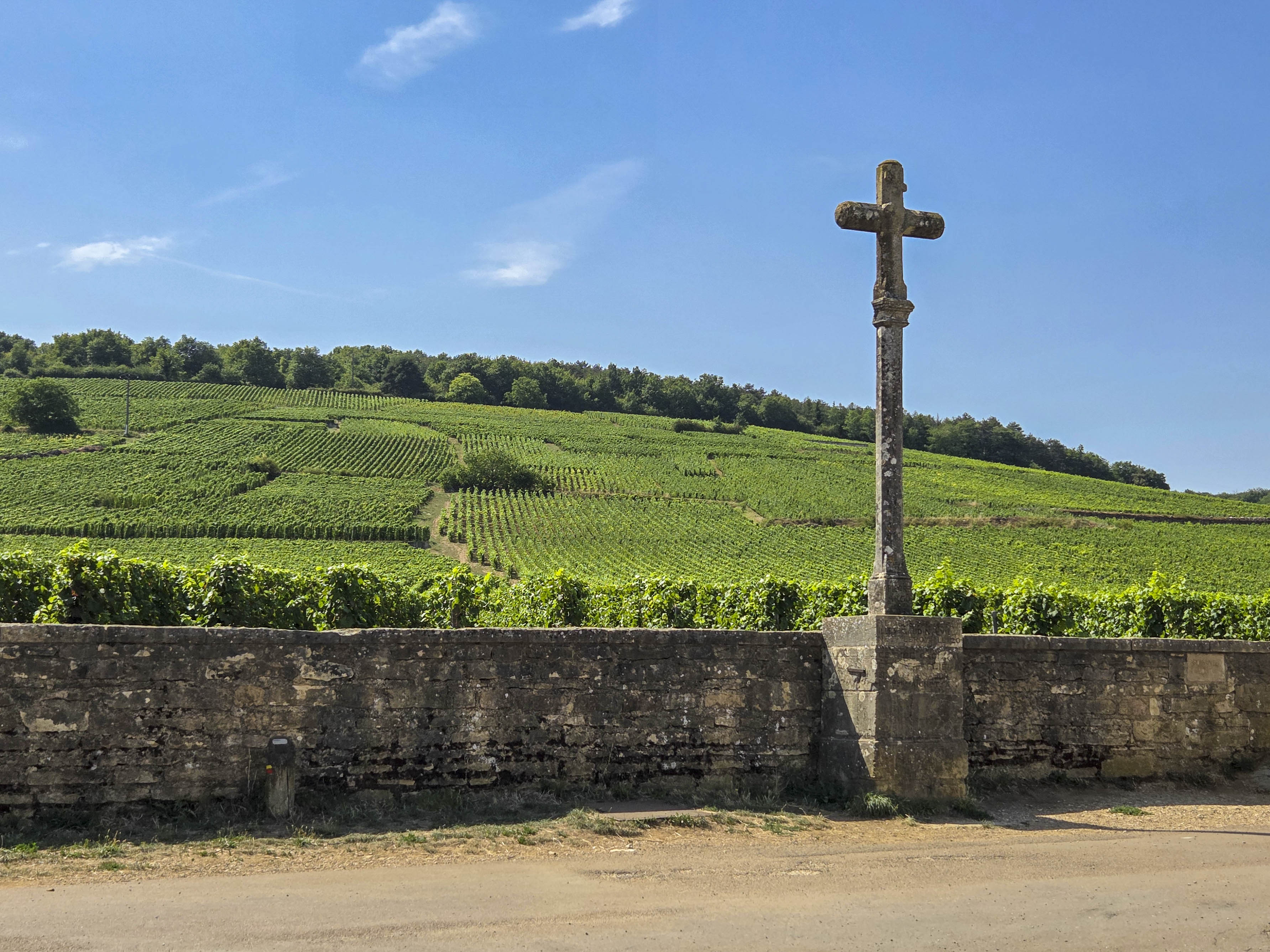Top 10 Best Wines in the World