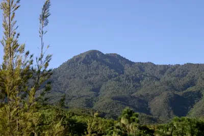 Top 10 Things to Do in Oaxaca 2026