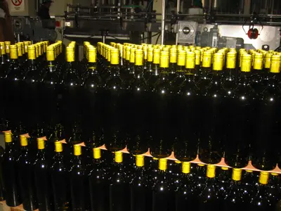 Top 10 Argentine Wines & Wineries in 2026