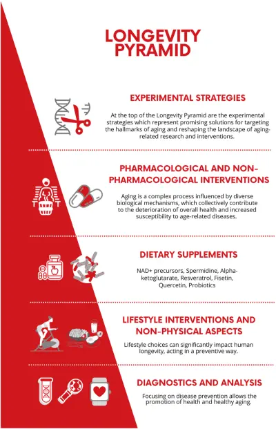 Top 10 Clinically Studied Longevity Supplements Every Biohacker Should Know